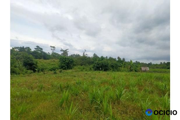 Sale Tanah: tanah di jual