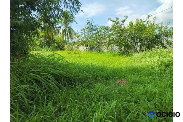 tanah cocok untuk gudang,gedung,toko dll