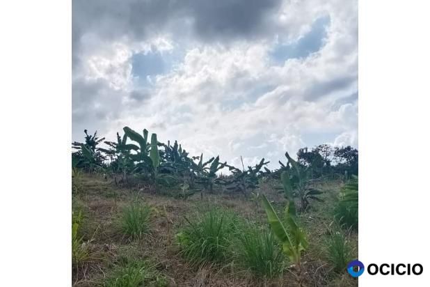 tanah di jual di Blang bintang dekat kebun kurma