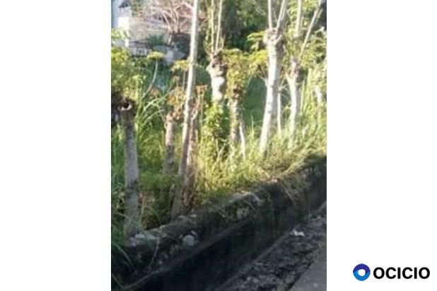 Sale Tanah: tanah dijual