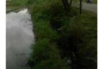 tanah di jual dilambaro kafe