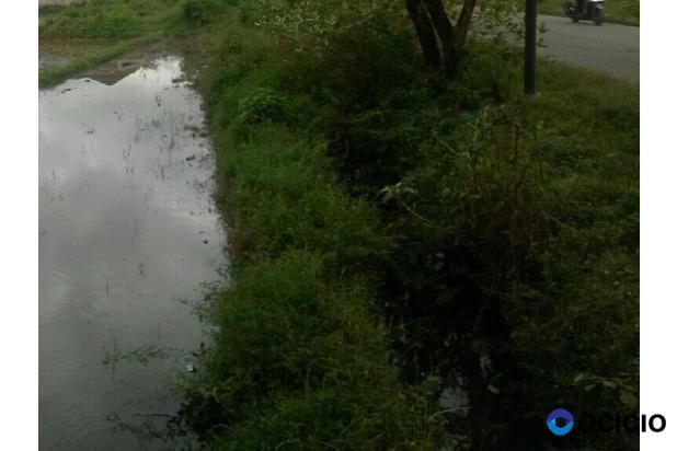 tanah di jual dilambaro kafe