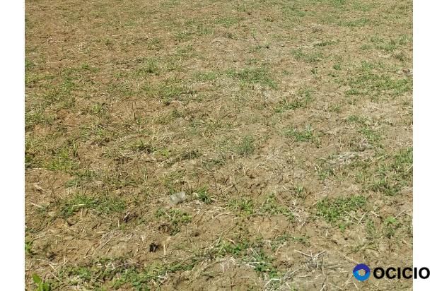 Sale Tanah: tanah dijual