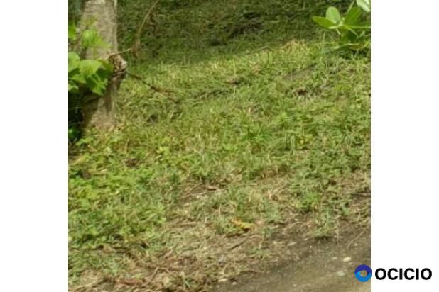 Sale Tanah: tanah dijual