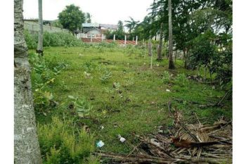 Sale Tanah: tanah dijual