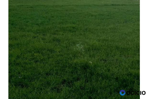 Sale Tanah: tanah dijual