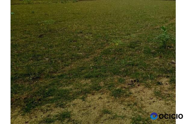 tanah dijual dekat bandara sultan Iskandar muda Blang bintang Aceh besar