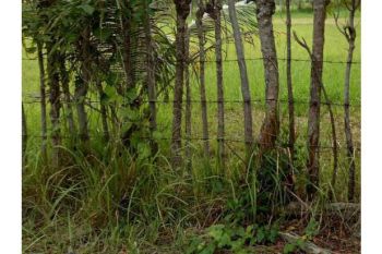 tanah dijual dekat terminal batoh