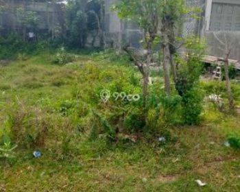 Sale Tanah: tanah di jual lingke