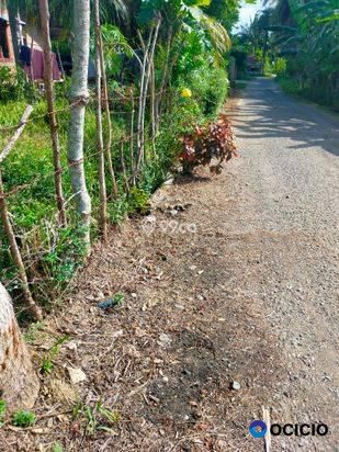 Sale Tanah: tanah dijual