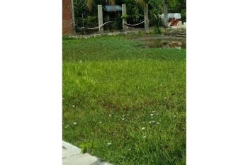 Sale Tanah: tanah dijual