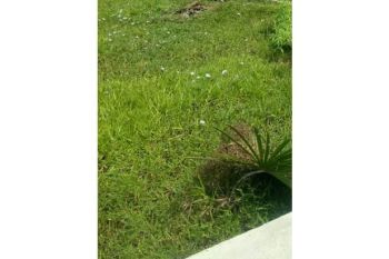 Sale Tanah: tanah dijual