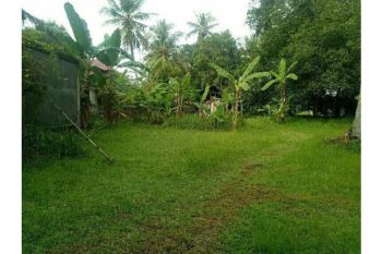 Sale Tanah: tanah dijual