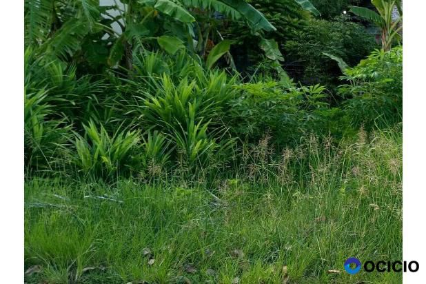 Sale Tanah: tanah dijual beurawe