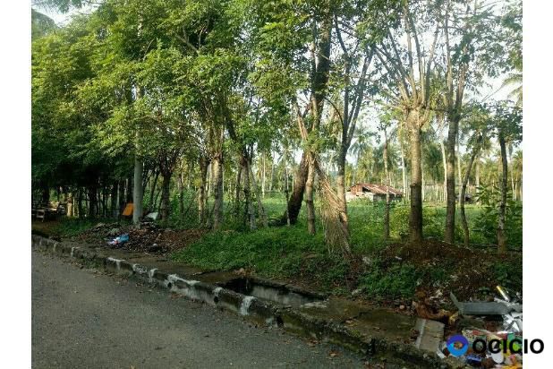 Sale Tanah: lahan di jual labui
