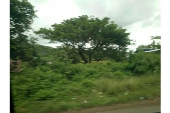 tanah dijual Lampeunerut