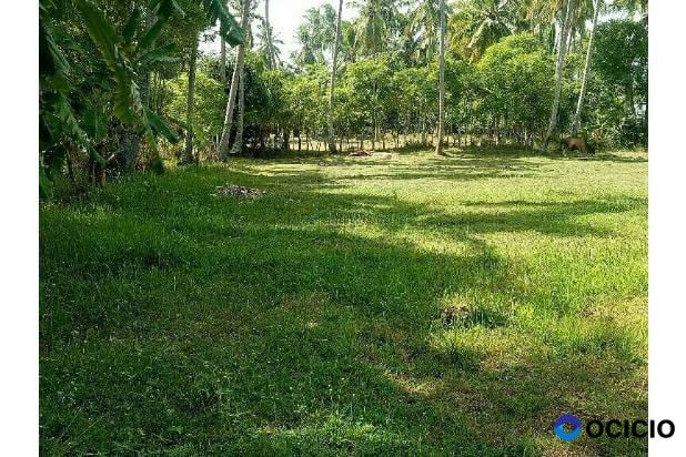 tanah dijual lambaro angan