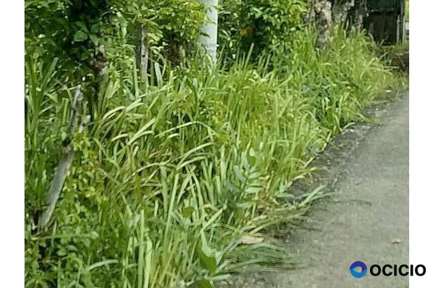 Sale Tanah: tanah di jual batoh