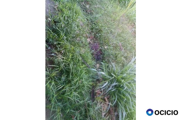 lahan bagi hasil darussalam, lampedaya