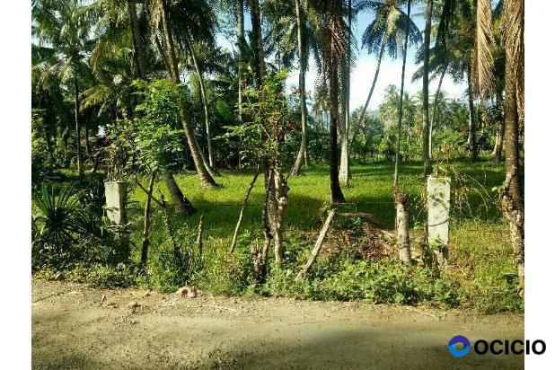 lahan bagi hasil bayu