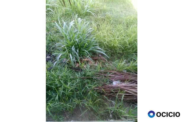 tanah di jual di lamteh ulka