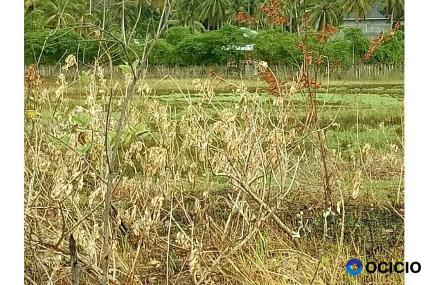 Tanah Dijual diJln muhamad hasan batoh