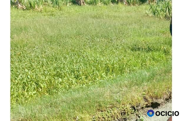 tanah bagi hasil aceh besar