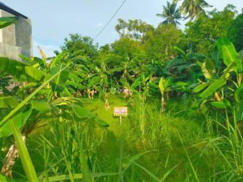 Sale Tanah: tanah dijual dibrawe