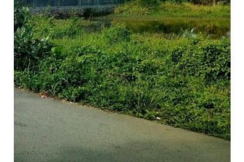 tanah dijual di geuce komplek