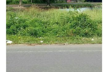 Sale Tanah: jual tanah batoh