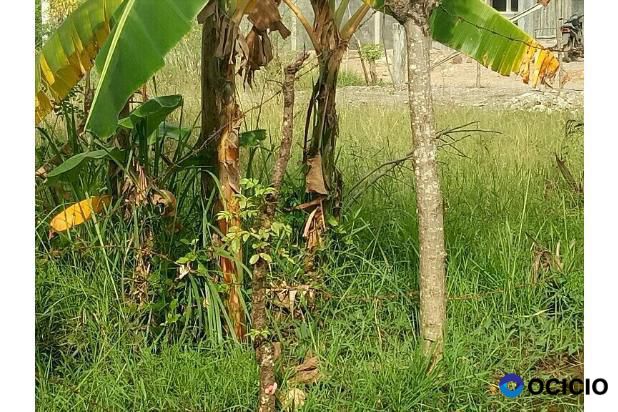 Tanah finial delay Hermes hotel