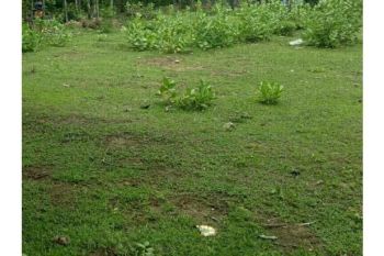 Sale Tanah: tanah di beurawe