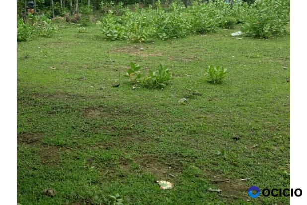 Sale Tanah: tanah di beurawe