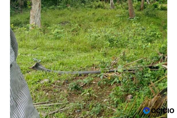 Sale Tanah: (tanah) lahan dijual