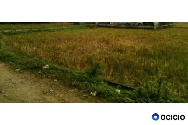 tanah dijual lambaro kafe