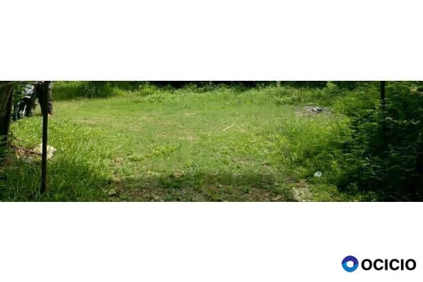 Sale Tanah: tanah dijual