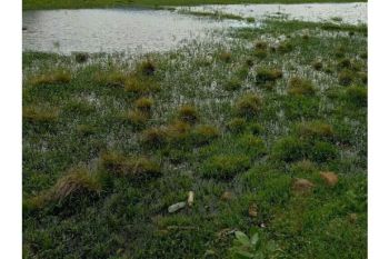 tanah dijual sangat murah