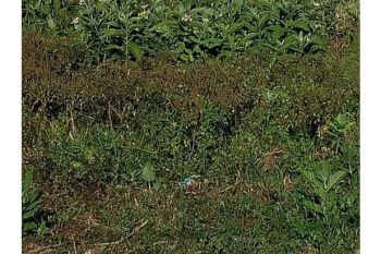 tanah dijual dekat mesjid