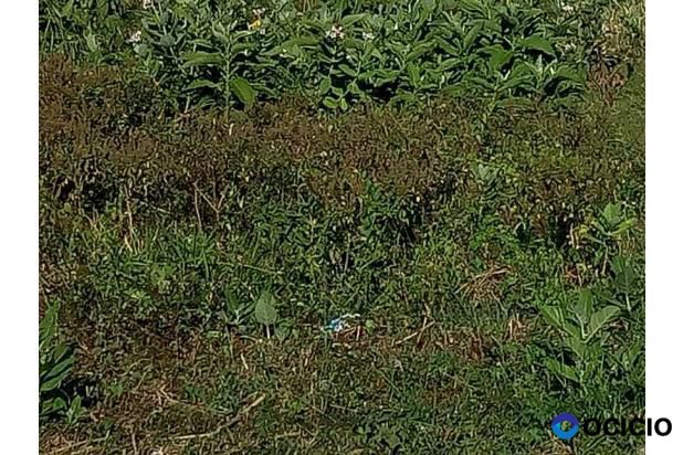 tanah dijual dekat mesjid