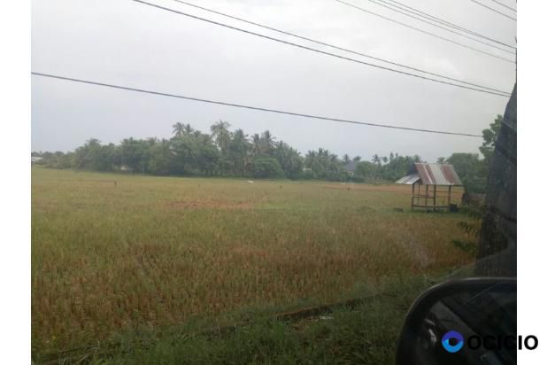 tanah dijual di jln bandara