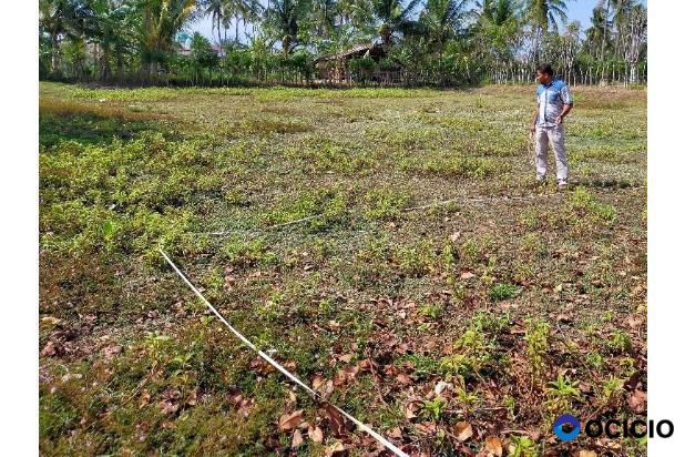 tanah dijual di labui