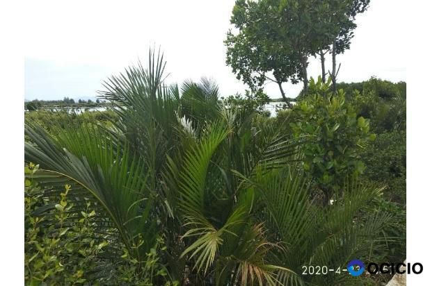 tanah super luas dijual lambaro skep