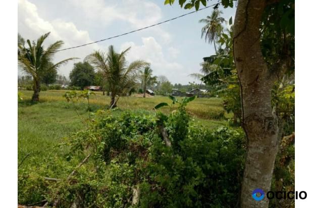 tanah bagi hasil di lambaro angan