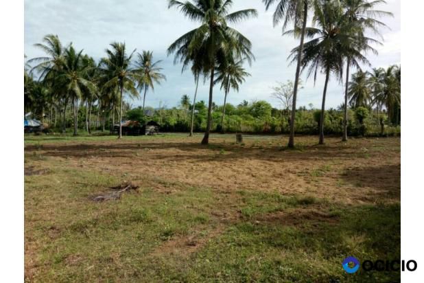 lokasi bangun dijual di labuy
