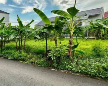 Tanah dijual dibelakang Rsuza