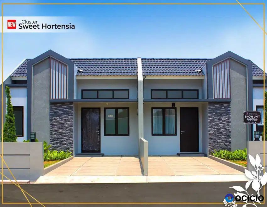 Harvest City Cluster Sweet Hortensia Tipe Sanvitalia