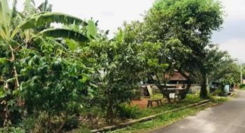 Tanah 2500 meter di gunter langkapura