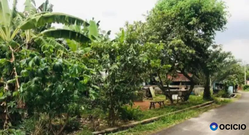 Tanah 2500 meter di gunter langkapura