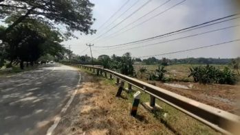 Dijual tanah sawah produktif 2.5 ha pinggir jalan raya cileungsi