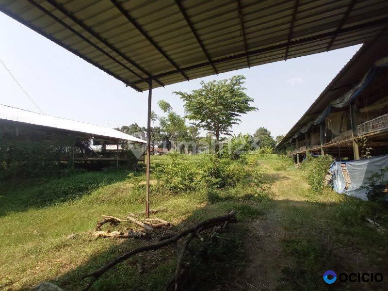 Tanah Luas Harga Terbaik Lokasi Strategis di Besuk, Probolinggo